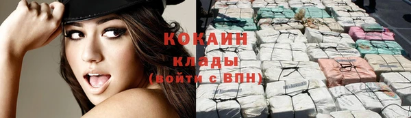 прущие грибы Надым