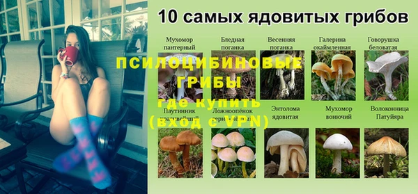 гашик Алзамай