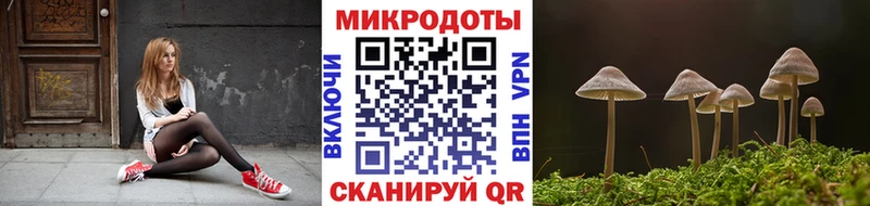 купить наркотики цена Самара Псилоцибиновые грибы Cubensis
