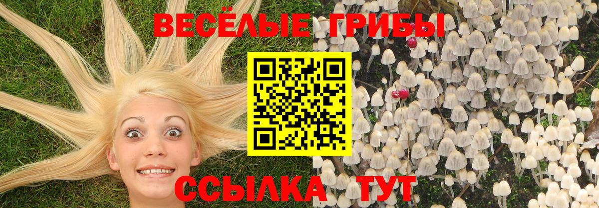 Галлюциногенные грибы Psilocybe  Вход с VPN  Псилоцибиновые грибы Psilocybe  Самара 